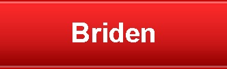Briden Underpinning & Piling Ltd